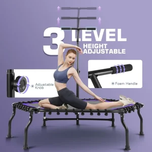 Mini Bungee Rebounder